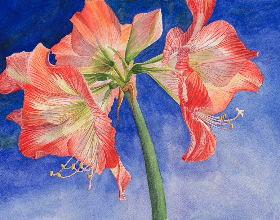 Thumbnail Placeholder